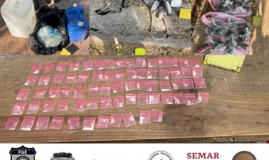Hallan en Huautla posible laboratorio de drogas