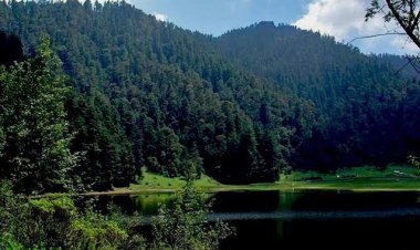 Invitan a ser guardián  del bosque en Huitzilac