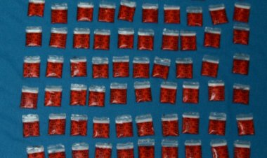 Con armas y drogas prohibidas,  tres fueron capturados por FGR