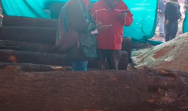 Desmantelan aserraderos clandestinos en Huitzilac