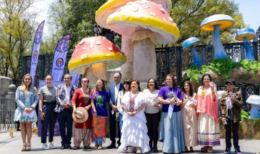 Morelos, presente en Spora Festival del Bosque de 2025