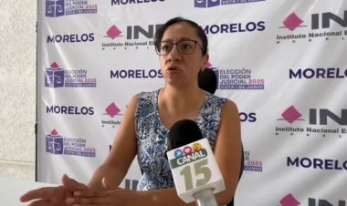 Más de 3 mil van por  observación electoral