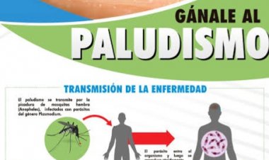 Fundamental, mantener  a Morelos sin paludismo