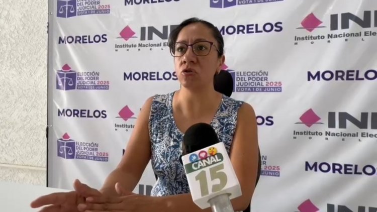 Más de 3 mil van por observación electoral