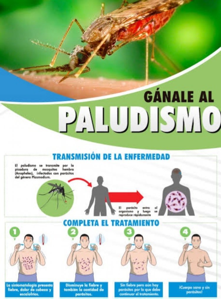 Fundamental, mantener  a Morelos sin paludismo