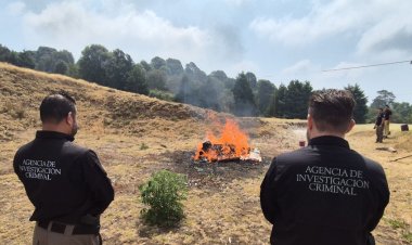 Informa FGR sobre detenidos, sentenciados e incautaciones en Morelos durante abril