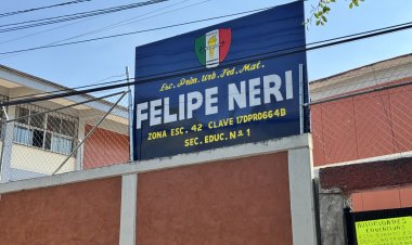 Denuncian que existen  enjambres en escuelas