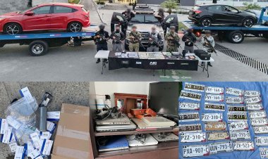 Duro golpe a una banda de  automóviles en Cuernavaca
