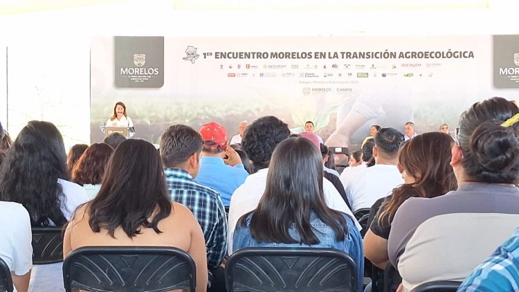 Alienta la gobernadora el voto para el 1 de junio