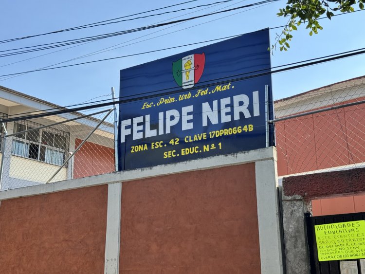 Denuncian que existen enjambres en escuelas