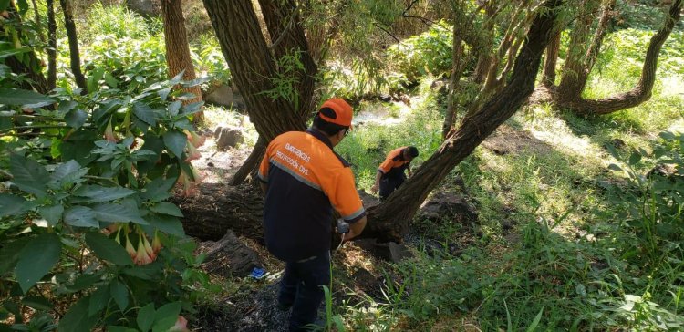 Cuernavaca aplica operativos  preventivos en sus barrancas