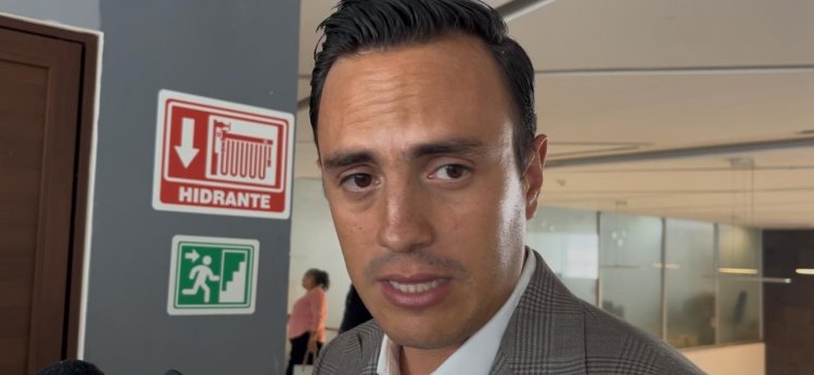 Congreso va por reforma con paridad: D. Martínez