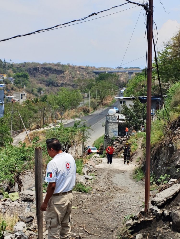 Árboles colapsados y derrumbe de  rocas por las lluvias en Cuernavaca