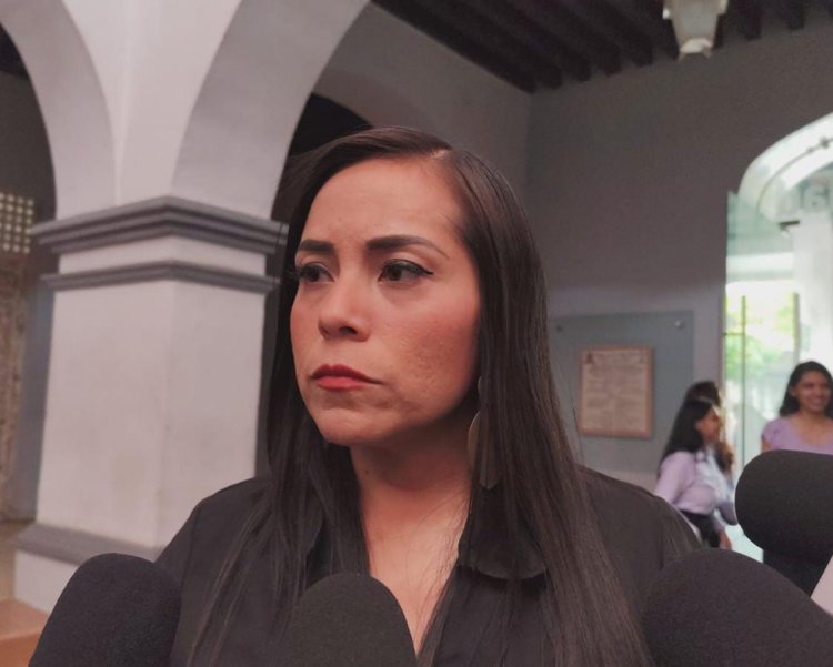 El Instituto de la Mujer pide seguridad en calles