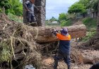 Árbol derribado por las precipitaciones  amenazó con inundación en Yautepec