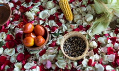 Exitosa reuniónde las cocineras tradicionales