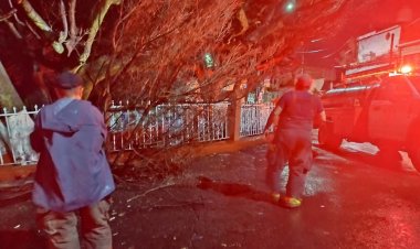 Un auto arrastrado, poste y cable caídos,  entre otros, atendidos por PC capitalina