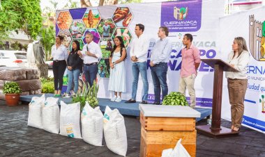 Cuernavaca entregó insumos en favor  de sus productores apícolas y fúngicos