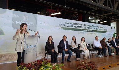 Contra paracaidistas, gobierno instalará un muro