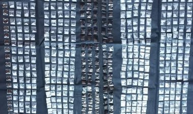 J. Carlos y Sarahí son pareja y  presuntos narcomenudistas