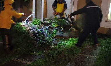Hay muchos estragos por la lluvia en  Cuernavaca; alerta máxima por Érick
