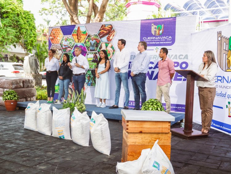 Cuernavaca entregó insumos en favor  de sus productores apícolas y fúngicos