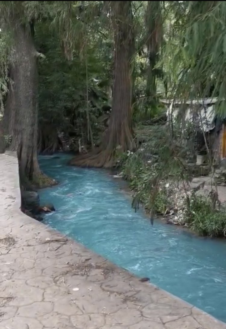 Barranca en límites de Atlacomulco y Lomas de Águila, muy contaminada