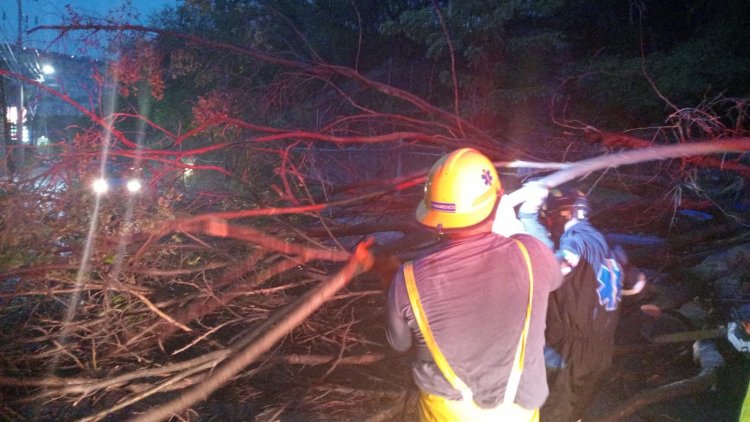 Árboles caídos y accidentes por las lluvias y granizo en Jiutepec