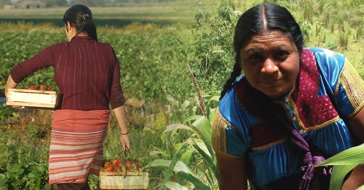 Morelos reconoce a mujeres agraristas