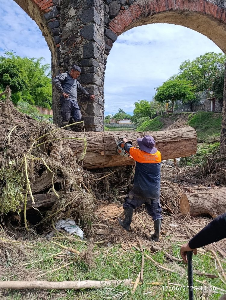 Árbol derribado por las precipitaciones  amenazó con inundación en Yautepec