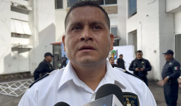 Alertan por árboles y anuncios con lluvias