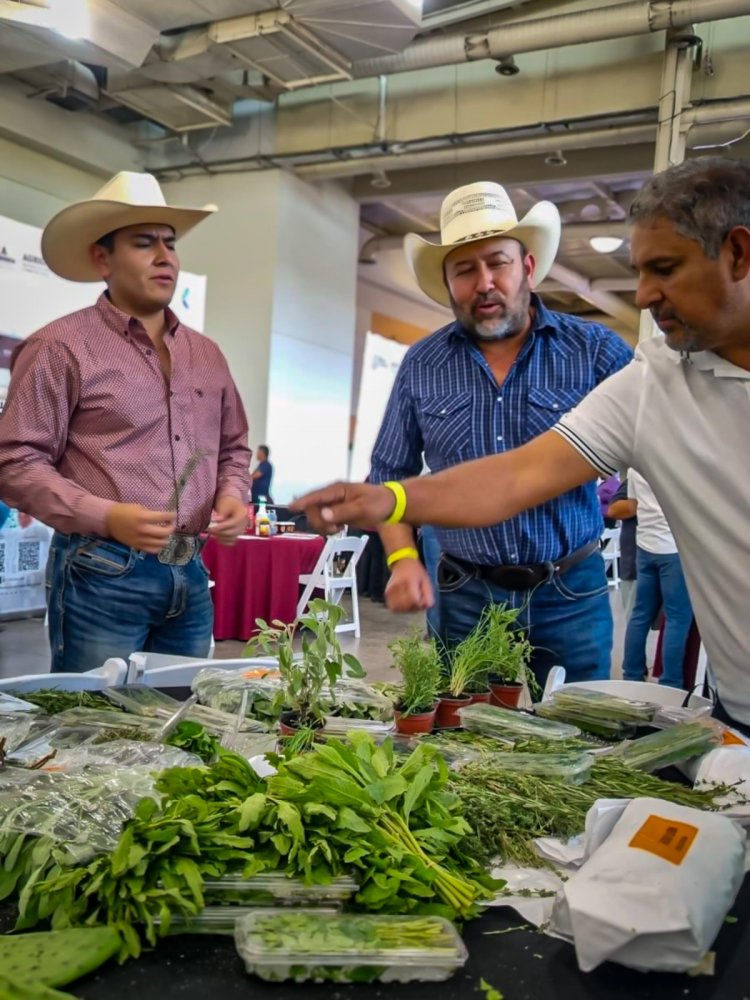 Posicionan al campo de  la entidad a nivel global