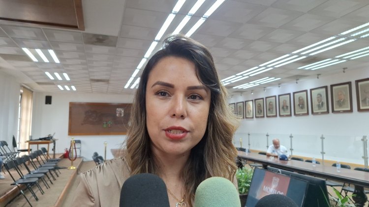 Documentan alza en el robo de vehículos