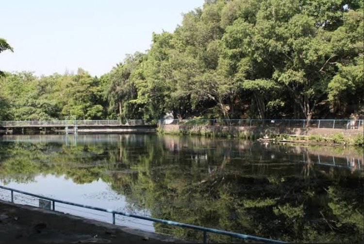 Se limpia el lago del parque Chapultepec
