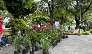 Encuentro de Viveristas Indígenas en Jiutepec