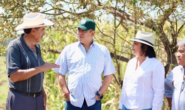 Alertan a los campesinos por  menos agua con la canícula