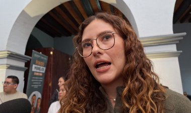 Por "errores" se detuvo programa Viaja Segura