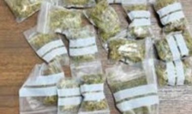 Sorprendidos con droga en Cuautla, Alejandra y David