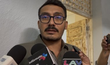 Supuestamente, registro animal  ha disminuido presencia en calles
