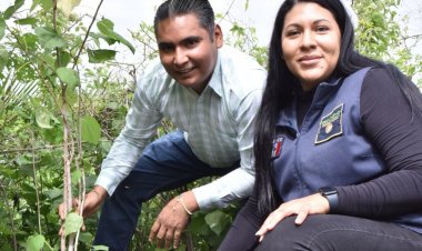 Jornada de reforestación en Emiliano  Zapata Vs. Violencia y por integración