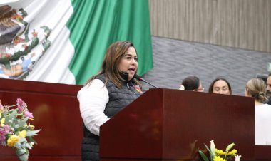 Pide diputada Tania Valentina  frenar incendios en Morelos