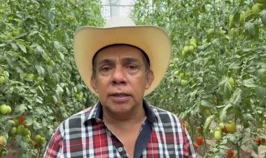 Prevén una posible alza  en el precio del jitomate