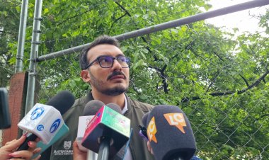 Aseguran que gatos no son sacrificados en Chapultepec