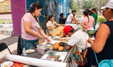 Llevan también a Xoxocotla el curso de verano científico