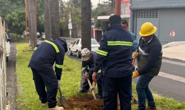 Nuevas luminarias en Av.  V. Guerrero de Cuernavaca