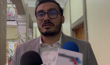 Va en picada producción de  miel en Morelos, advierten