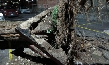 Muchos estragos ocasionaron las  lluvias del miércoles en la capital