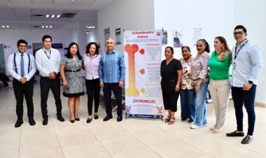 Para frenar crímenes contra animales, hay violentómetro