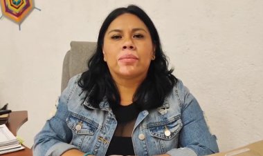 Casi nadie quiere adoptar  a perros adultos sin hogar