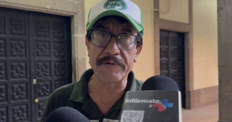 Tanta agua de lluvia daña a los cultivos